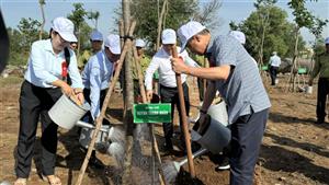TP Hồ Chí Minh: Phát động Tết trồng cây đời đời nhớ ơn Bác Hồ
